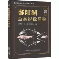 正版新书]鄱阳湖鱼类影像图鉴付辉云主编;张燕萍;刘杨97871093