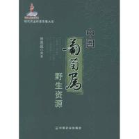 正版新书]中国葡萄属野生资源贺普超9787109168152