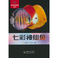 正版新书]七彩神仙鱼(家养观赏鱼系列)刘雅丹,白明9787109304901