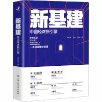 正版新书]新基建 中国经济新引擎盘和林9787300283173