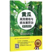 正版新书]黄瓜高效栽培与病虫害防治彩色图谱全国农业技术推广服
