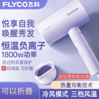 飞科(FLYCO)电吹风机家用大功率负离子护发折叠大风速干学生风筒