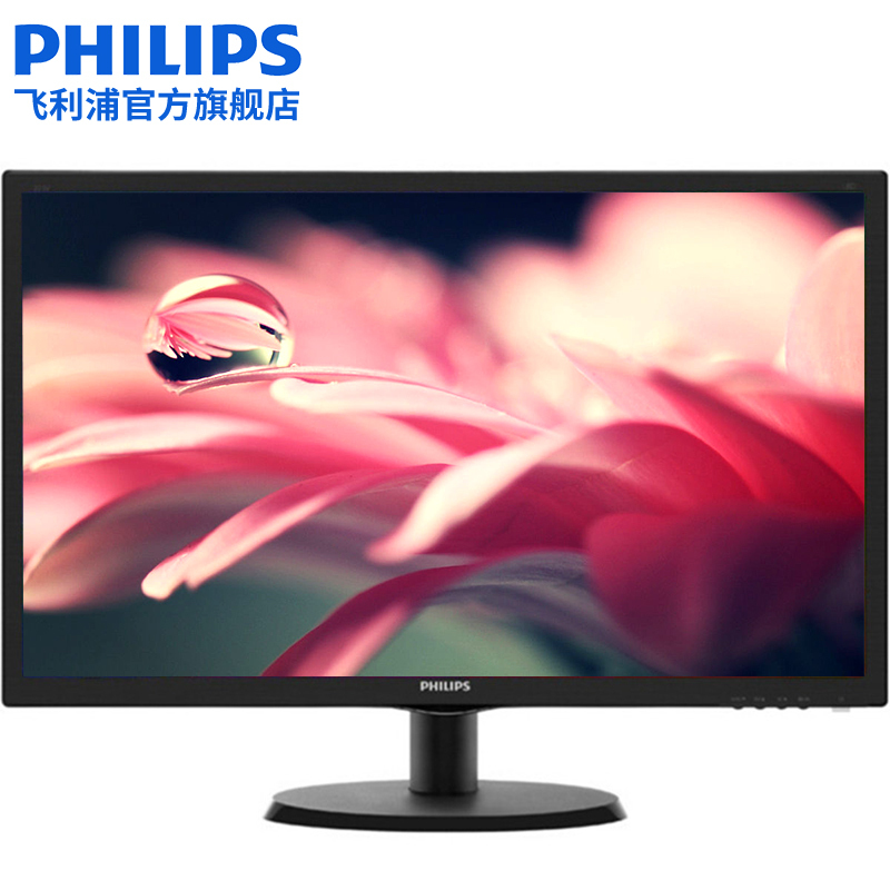 飞利浦（PHILIPS）203V5LSB2 19.5英寸液晶显示器 TN面板 商务办公电脑显示屏 可壁挂