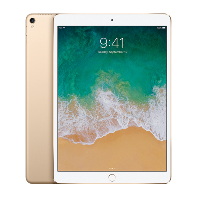 苹果(Apple) iPad Pro 11英寸 M1芯片 2TB 全网通5G版+WiFi 平板电脑 深空灰 官方同款 海外版