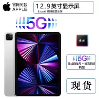 苹果(Apple) iPad Pro 12.9英寸 M1芯片 2TB 全网通5G版+WiFi 视网膜XDR屏 平板电脑 深空灰 官方同款 海外版
