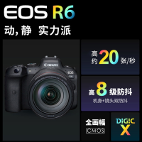 佳能(Canon)EOS R6 全画幅专业微单数码相机 佳能相机 单机身/不含镜头 2010万像素 4K视频拍摄 WIFI分享 Vlog照相机
