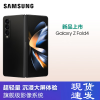 [已刷好国行系统 和国行一样]三星Galaxy Z Fold4 5G(SM-F9360) 12GB+256GB 铂萃黑折叠屏手机 海外版 双卡双待