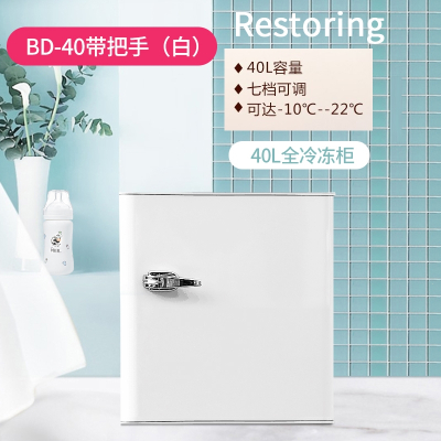 洛滑40升冰柜家用小型冷冻柜冷柜制冰冻雪糕母乳冷冻小冰箱_40升白色复古冷冻