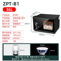 洛滑消毒碗柜商用家用厨房小型碗筷餐具餐厅单门臭氧消毒柜_36L长420mmx宽320mmx高290mm_喷漆箱体