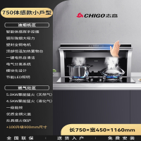 志高(CHIGO)分体式集成灶家用体感变频大吸力嵌入式小户型分体灶_小户型体感分体灶_液化气