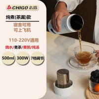 志高(CHIGO)便携式电烧水杯大容量吨吨烧水壶旅行出差自驾游热水杯_烧水炖煮茶漏款316内胆500ml