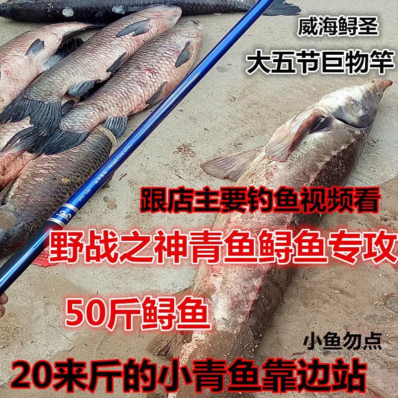 鲟圣之神升版超硬19调台钓竿7.2鲟鱼竿大物竿8.1巨物杆9米