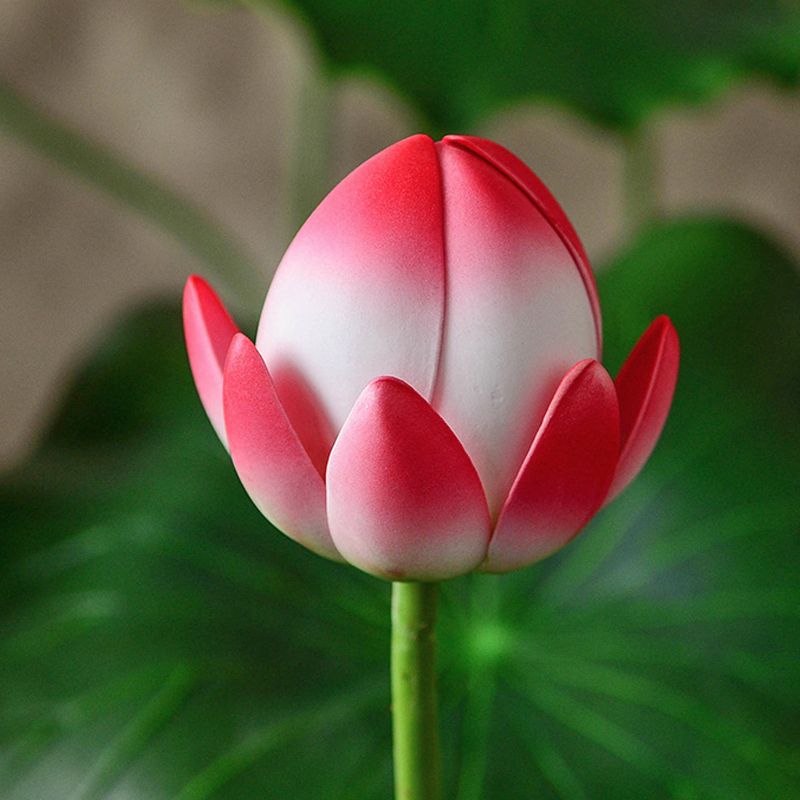 花艺带杆仿真荷叶客厅落地莲花舞蹈道具水池舞台造景装饰假花深粉花苞