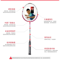 红双喜(DHS)羽毛球拍2支装羽毛球拍3020控球型情侣对拍家庭初学双拍