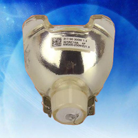 成越三洋SANYO UHP 250W PLC-UF15原装投影机灯泡POA-LMP49 .5_NmO12