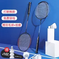 红双喜(DHS)羽毛球拍双拍 型碳素纤维专业拍子成人儿童套装