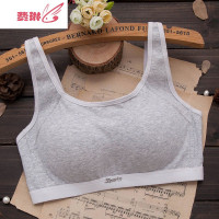 内衣女学生高中少女无钢圈收副乳运动文胸聚拢定型薄款胸罩夏 费琳胸罩
