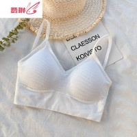 早春装无钢圈美背运动内衣文胸韩版背心内搭打底抹胸少女裹胸 费琳文胸套装