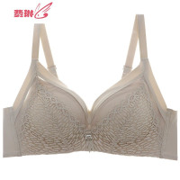 柔软Q弹棉内衣女无钢圈小胸聚拢调整收副乳显大胸罩蕾丝文胸套装 费琳胸罩