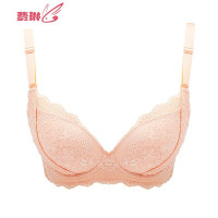 小胸聚拢无钢圈文胸 蕾丝边美背内衣女挤沟调整型胸罩 费琳文胸套装