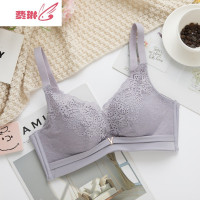 小胸专用平胸AA不空杯内衣女无钢圈聚拢文胸蕾丝乳罩防跑小A 费琳文胸套装