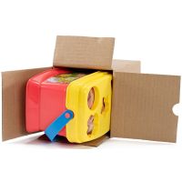 美国直邮Fisher Price费雪塑料启蒙积木盒婴幼儿宝宝益智玩具 6个月以上婴幼儿积木