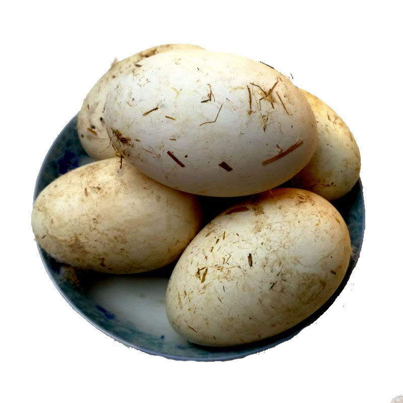 新鲜鹅蛋 农家散养 生的土大鹅蛋 处子 单枚120g左右 生鲜 12枚装图片