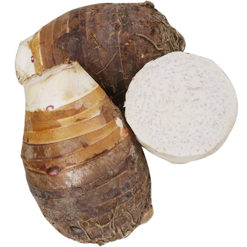 荔浦芋头 广西桂林 (约3-5个左右) 槟榔芋 蔬菜鲜芋 新鲜蔬菜 精品五