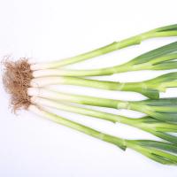 博多客 大葱 去叶 农家新鲜大葱 新鲜蔬菜 S燕 铁杆 5斤装