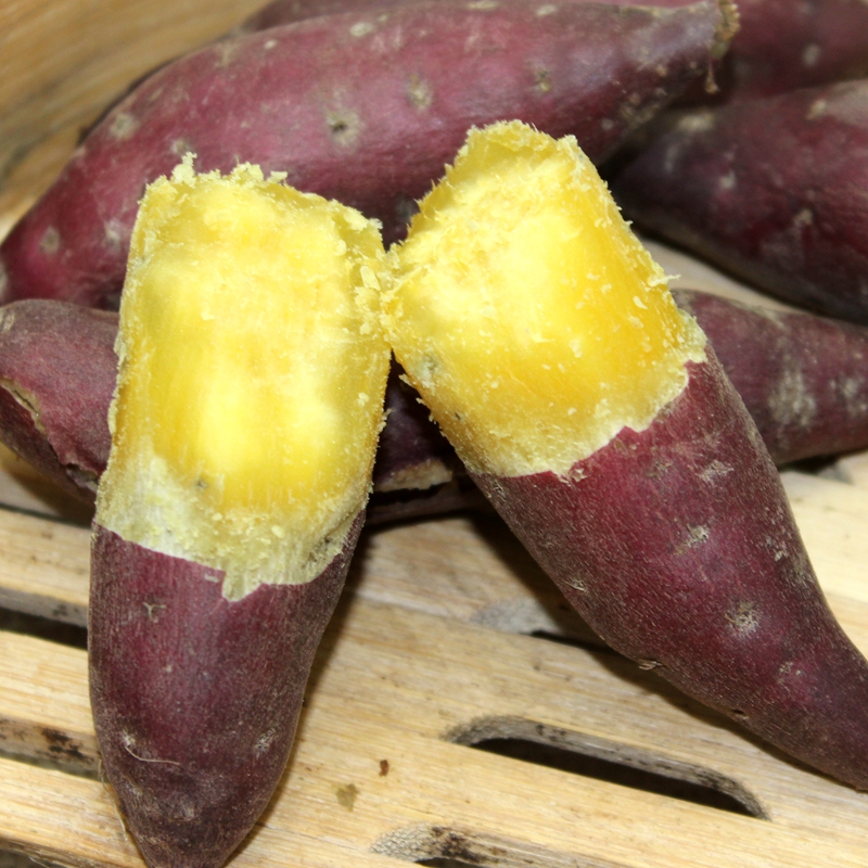 天目山小香薯 5斤装 新鲜蔬菜小红薯 番薯紫薯 临安 黄心地瓜番薯 山芋 tms高清大图
