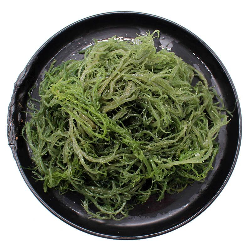 博多客 龙须菜 5斤 海草 海石花鹿角菜食用海藻菜丝裙带海藻丝凉拌菜 HPT图片