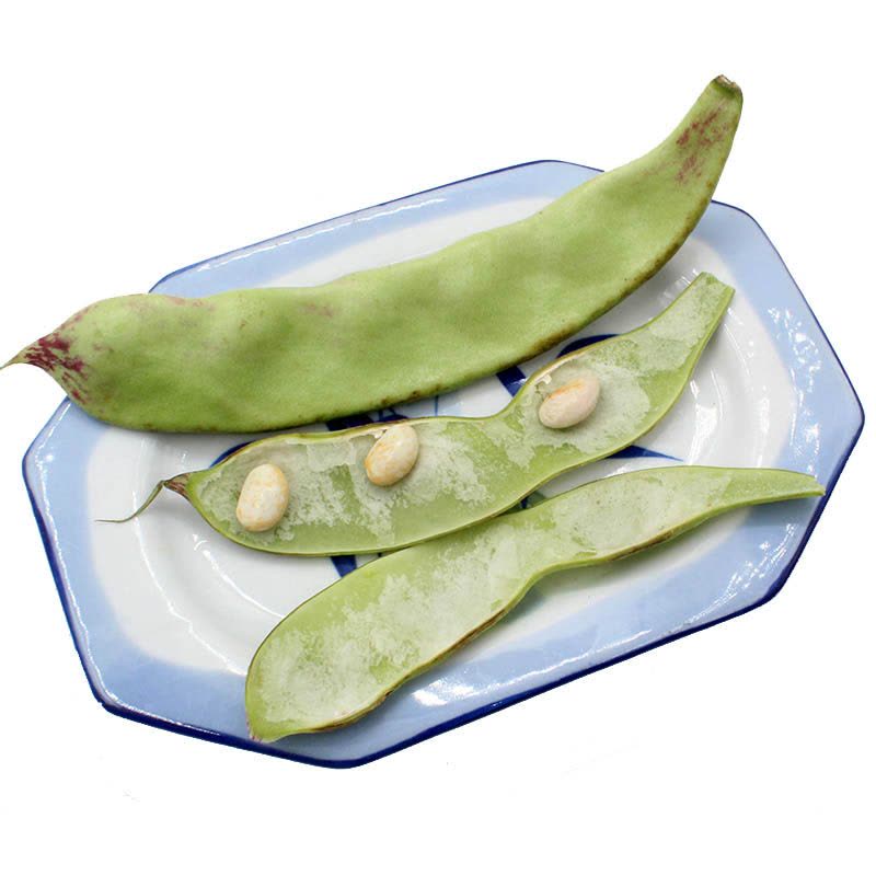 油豆角 5斤 东北特产开锅烂 新鲜蔬菜 豆角 豇豆宽图片