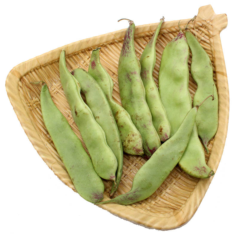 博多客其他蔬菜报价_参数_图片_视频_怎么样_问答-苏宁易购