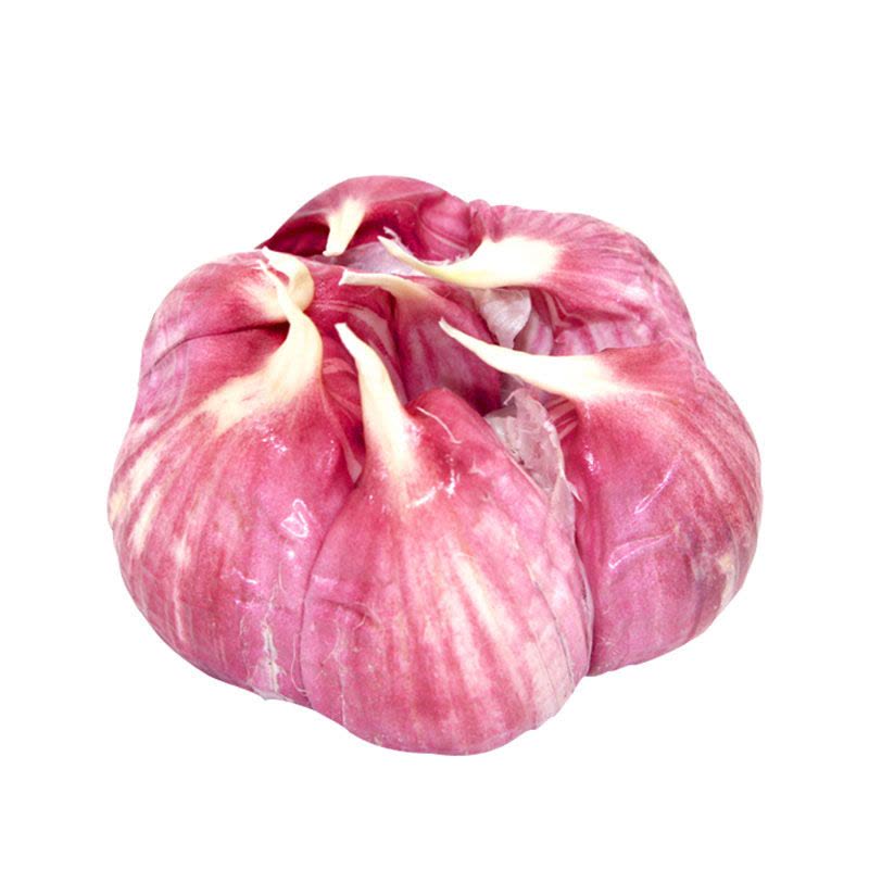 紫皮大蒜 红皮大蒜种子土蒜山地蒜农家 蒜籽香蒜 3斤装图片