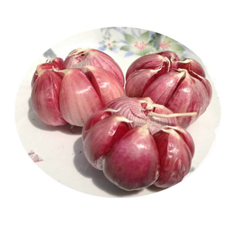 紫皮大蒜 红皮大蒜种子土蒜山地蒜农家 蒜籽香蒜 3斤装图片