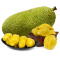 菠萝蜜 海南三亚 产地直发 新鲜水果 当季生鲜热带水果 XF 14-17斤左右