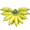 博多客 小米蕉 5斤装 香蕉 新鲜水果 青 特产 皇帝蕉 圣瑜