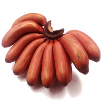 红皮香蕉 5斤 美人蕉 新鲜水果 非芭蕉小米蕉banana 土楼