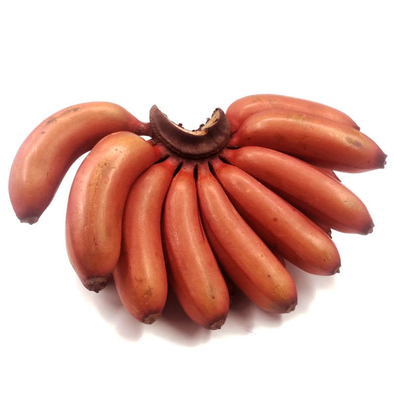 红皮香蕉 5斤 美人蕉 新鲜水果 福建土楼特产 非芭蕉小米蕉banana 土楼图片