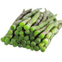 博多客 铁皮石斛 500g 鲜条 三年生石斛仿 非霍山新鲜铁皮枫斗乐清雁荡山 新鲜