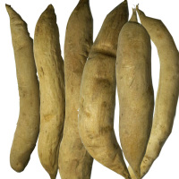 博多客 新鲜天门冬 500g 现挖新鲜 天冬 泡酒 生货 鲜货 PGY