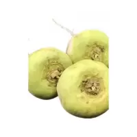 博多客 恰玛古新鲜2.5kg强碱食物恰麻姑蔬菜生鲜新鲜