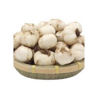 博多客特产新鲜百合生鲜蔬菜甜百合非百合干20头1kg生鲜新鲜