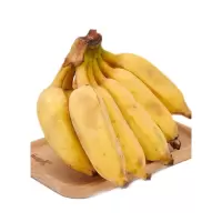 博多客新鲜香蕉小米蕉蕉粉蕉2.5kg生鲜新鲜