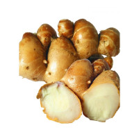 博多客高州新鲜沙姜 2斤 生姜山奈子赖沙姜鸡白切鸡配料山辣土姜生鲜新鲜