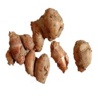 博多客新鲜沙姜山奈2斤白切鸡配料个大香浓