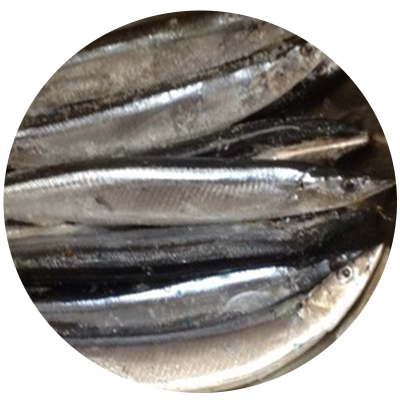 博多客秋刀鱼500g鲜新鲜鱼鲜活海鲜深海鱼日式烧烤食材顺丰