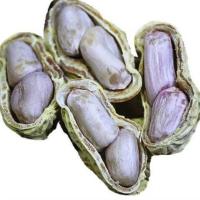 花生蒜香五香水煮白晒 五香味1000g