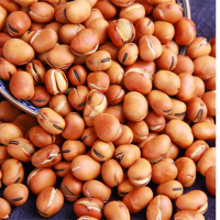 农家干炒小蚕豆原味自炒胡豆盐炒蚕豆1斤2斤炒货原味炒货零食 炒蚕豆 原味 3斤