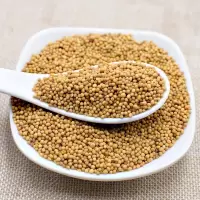 黄芥末籽500克 白芥子孑食用芥末粉未茉凉粉自制jemo芥菜籽
